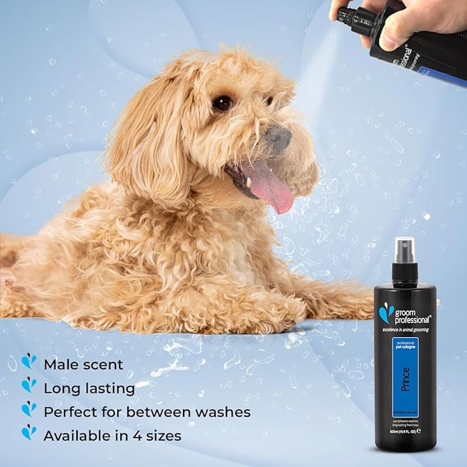 Groom Professional Prince Cologne 500ml