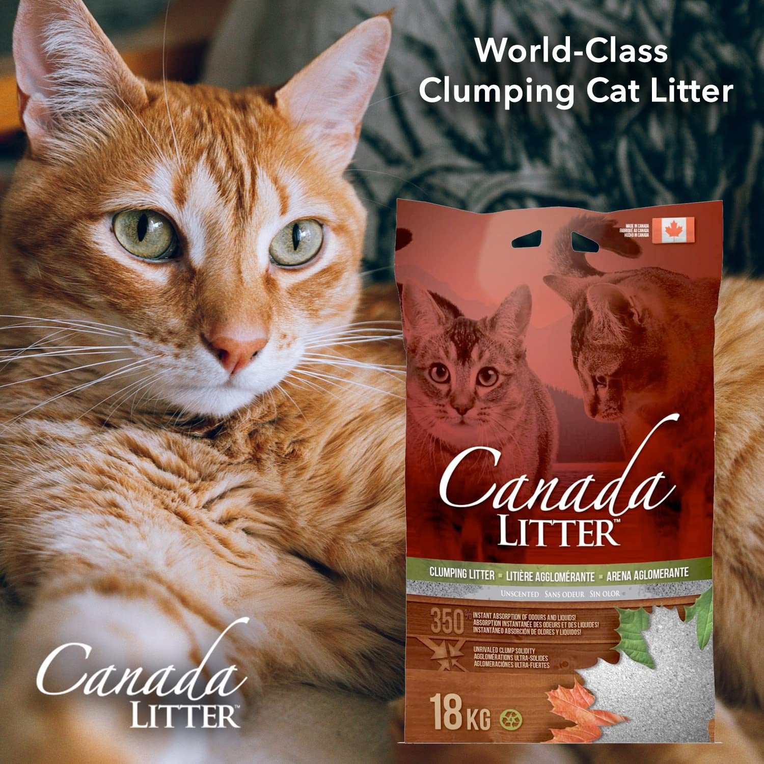 Canada Litter 6KG - Unscented