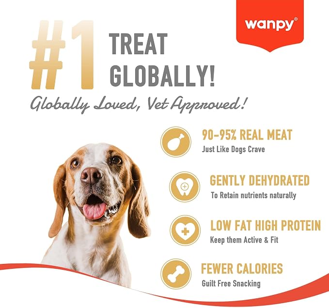 Wanpy Soft Lamb Jerky Slices 100G