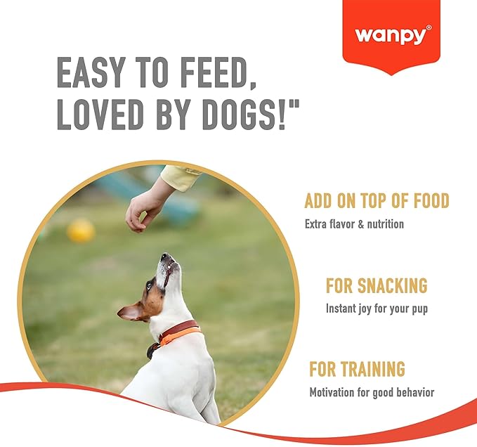 Wanpy Soft Lamb Jerky Slices 100G
