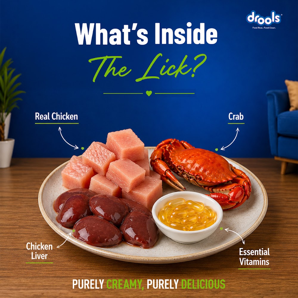 Drools Creamy Crab & Chicken (15 x30g)