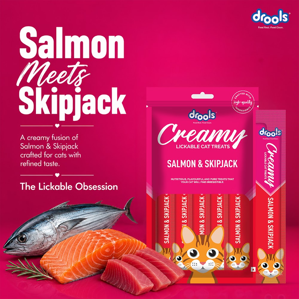 Drools Creamy Salmon&Skipjack (5x15g)