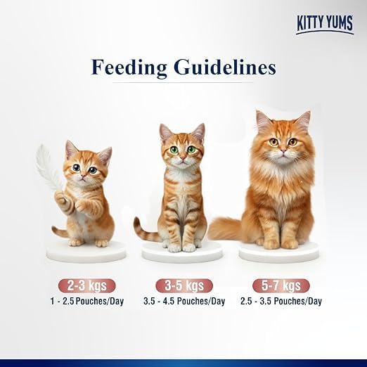 Kitty Yums SalmonMousseCat 80gm (5+1)pc