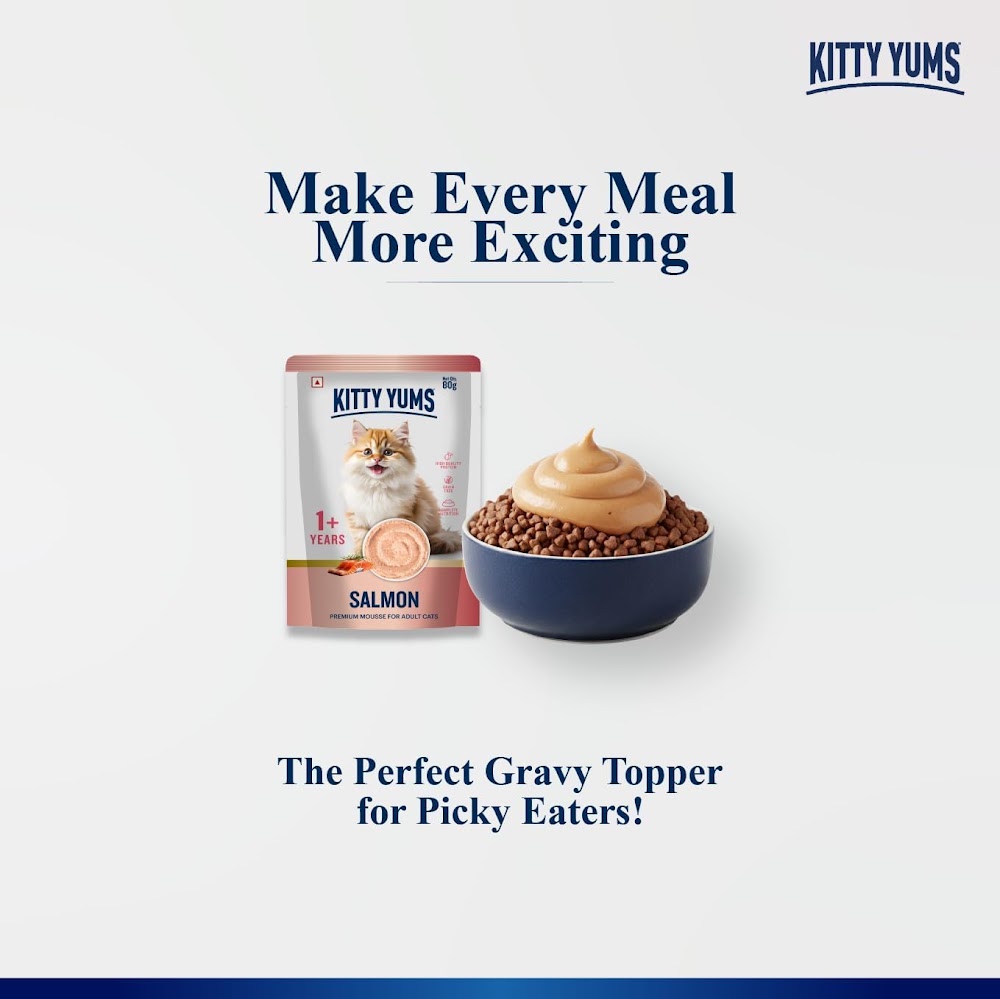 Kitty Yums SalmonMousseCat 80gm (5+1)pc