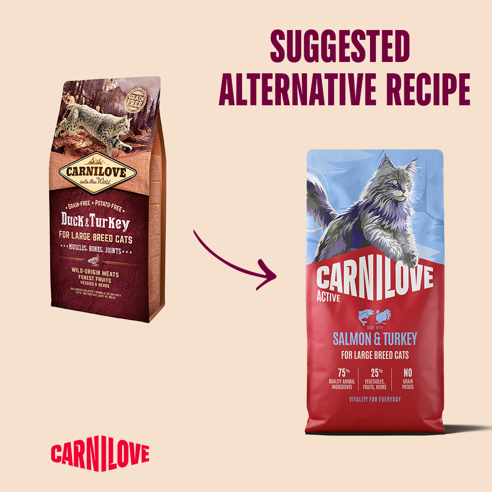 Carnilove Active Salmon & Turkey for Adult Large Breeds Dry Cat Food 6kg
