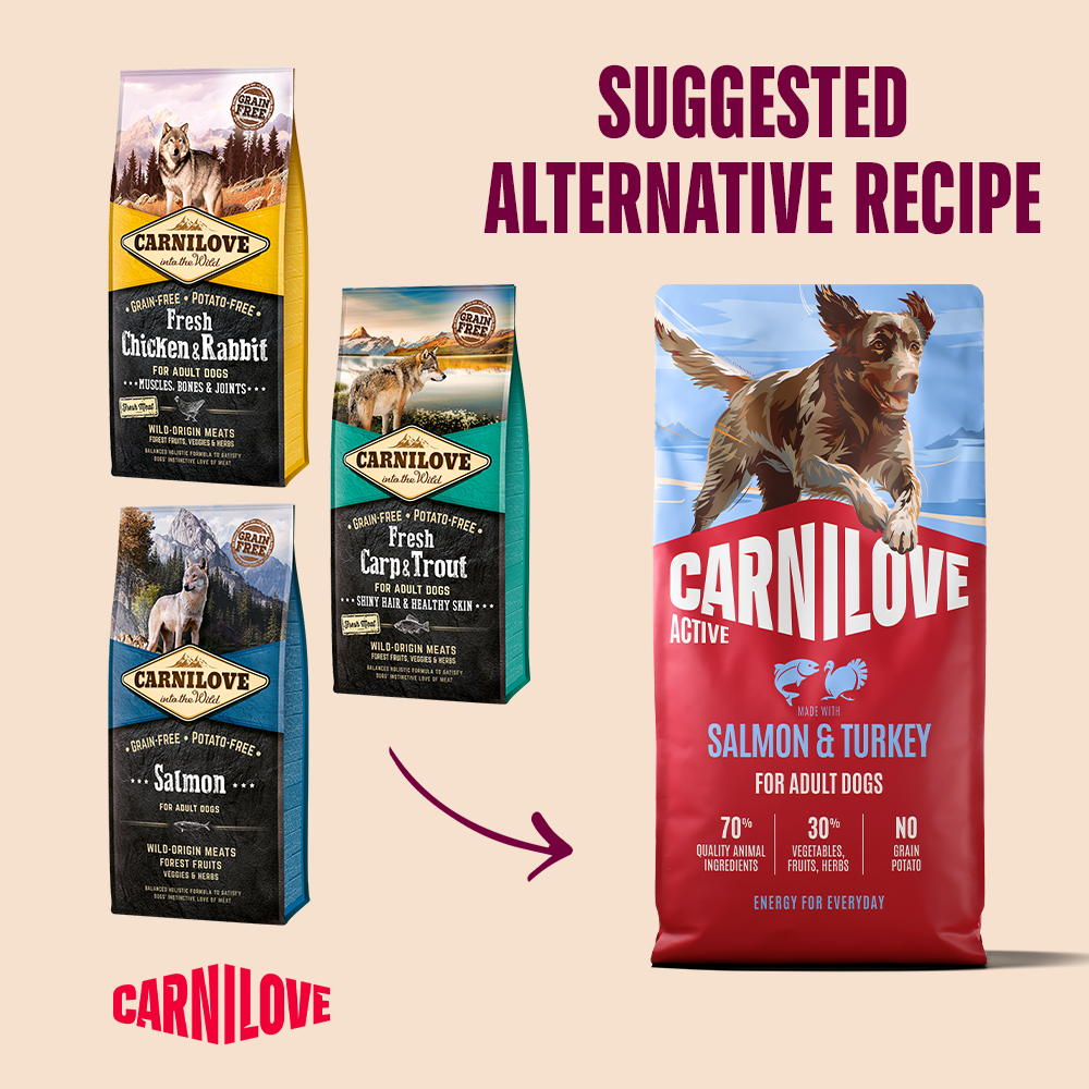 Carnilove Active Salmon & Turkey for Adult All Breeds Dry Dog Food 12kg