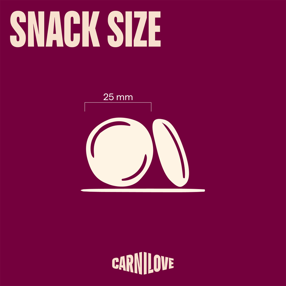 Carnilove Freeze-Dried Raw Snacks Salmon & Turkey 60g