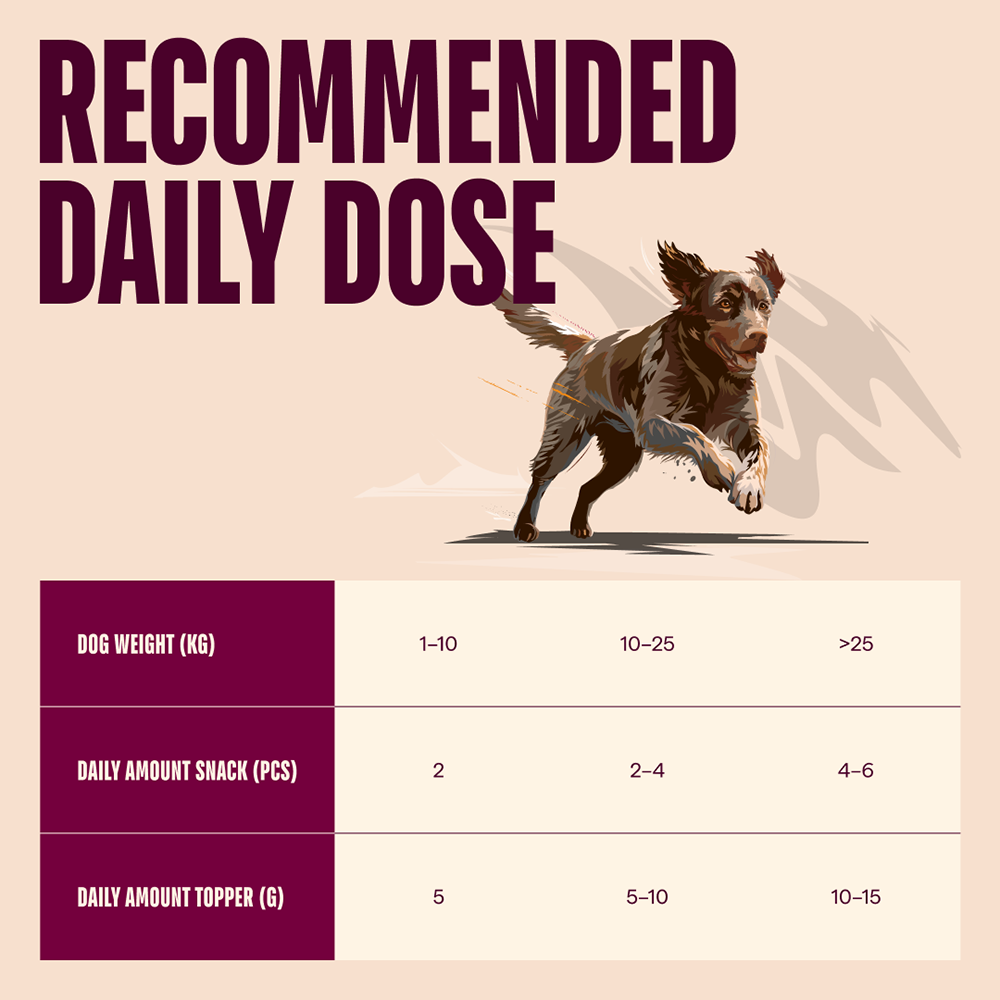Carnilove Freeze-Dried Raw Snacks Salmon & Turkey 60g