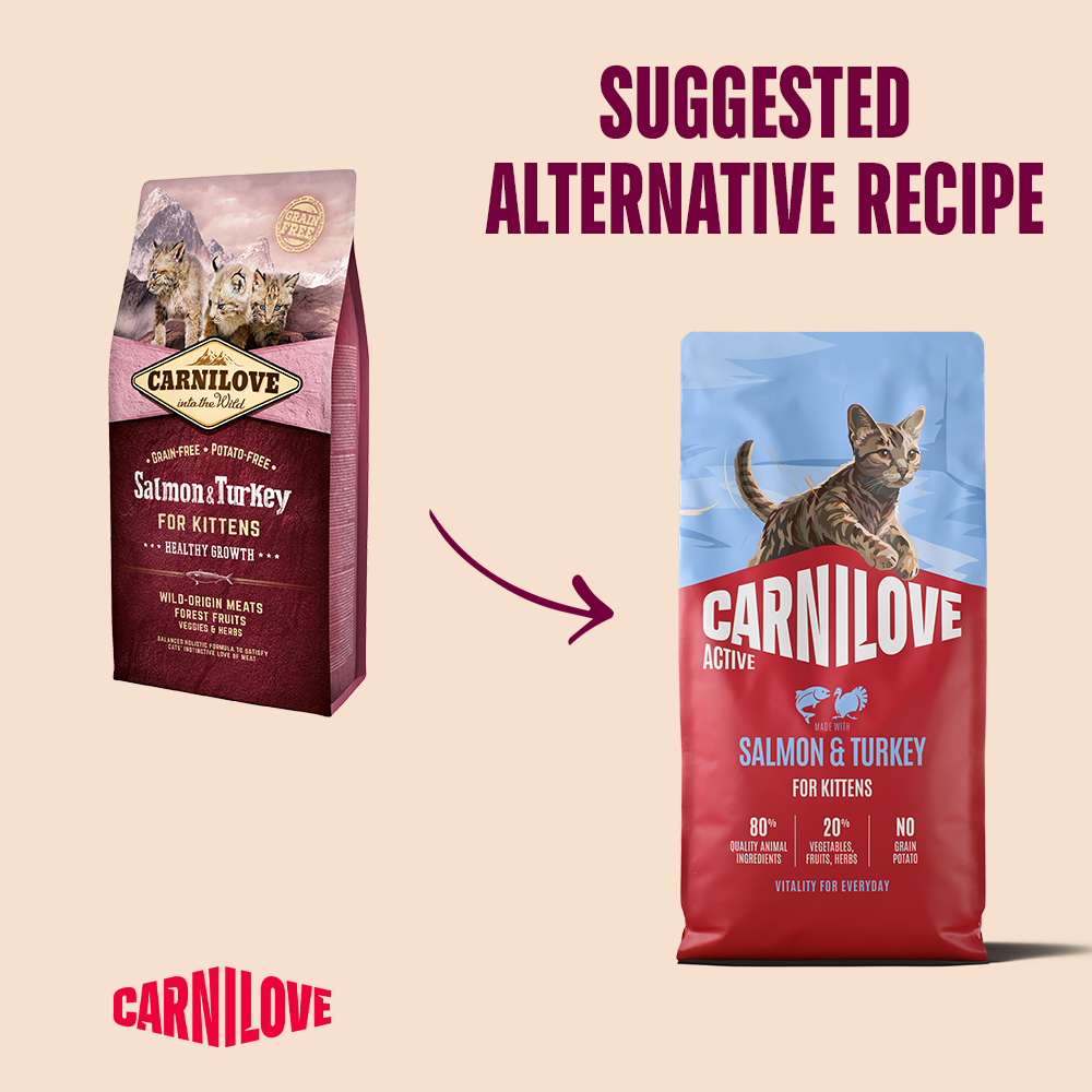 Carnilove Salmon & Turkey for Kittens 6kg