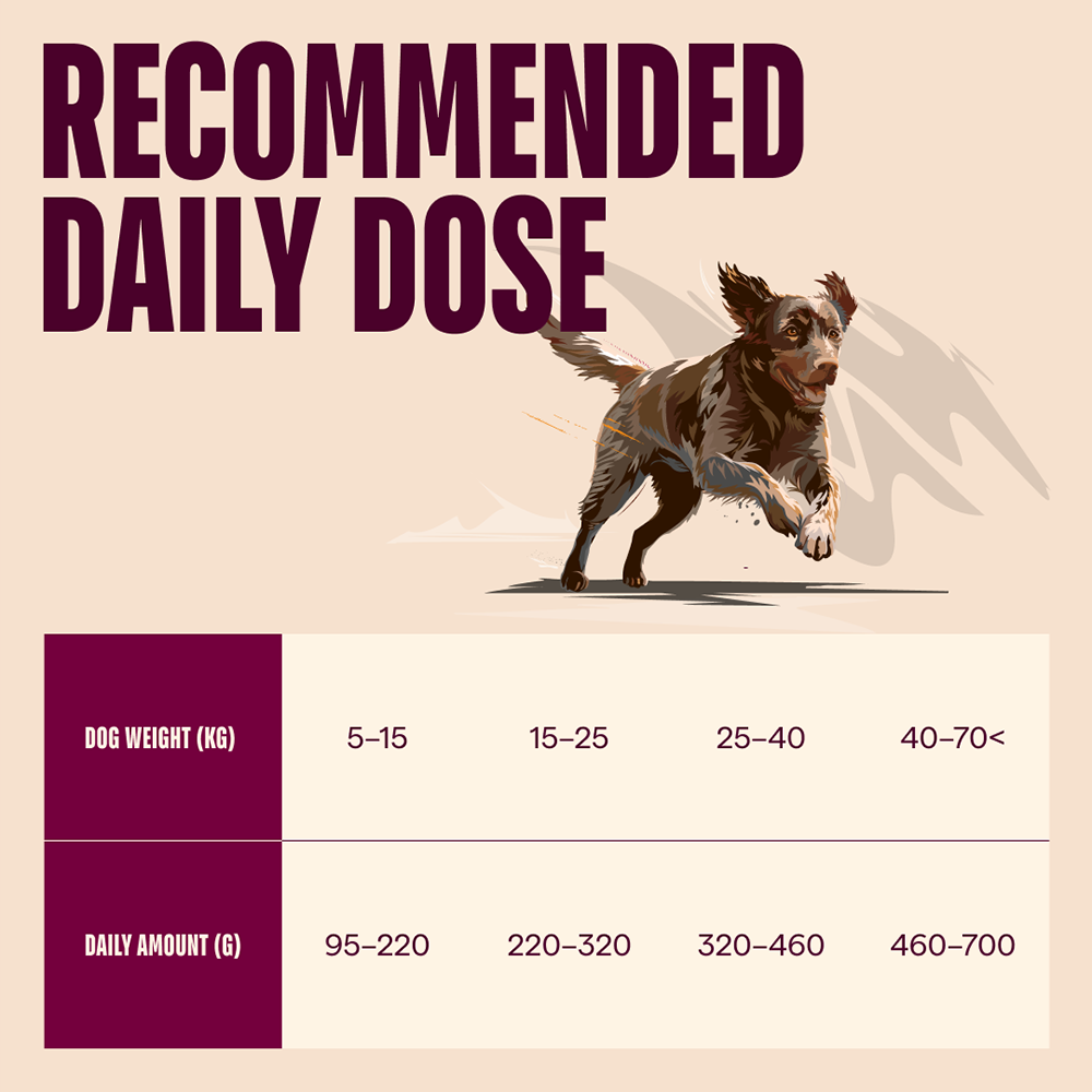 Carnilove Lamb & Wild Boar For Adult Dogs 1.5kg