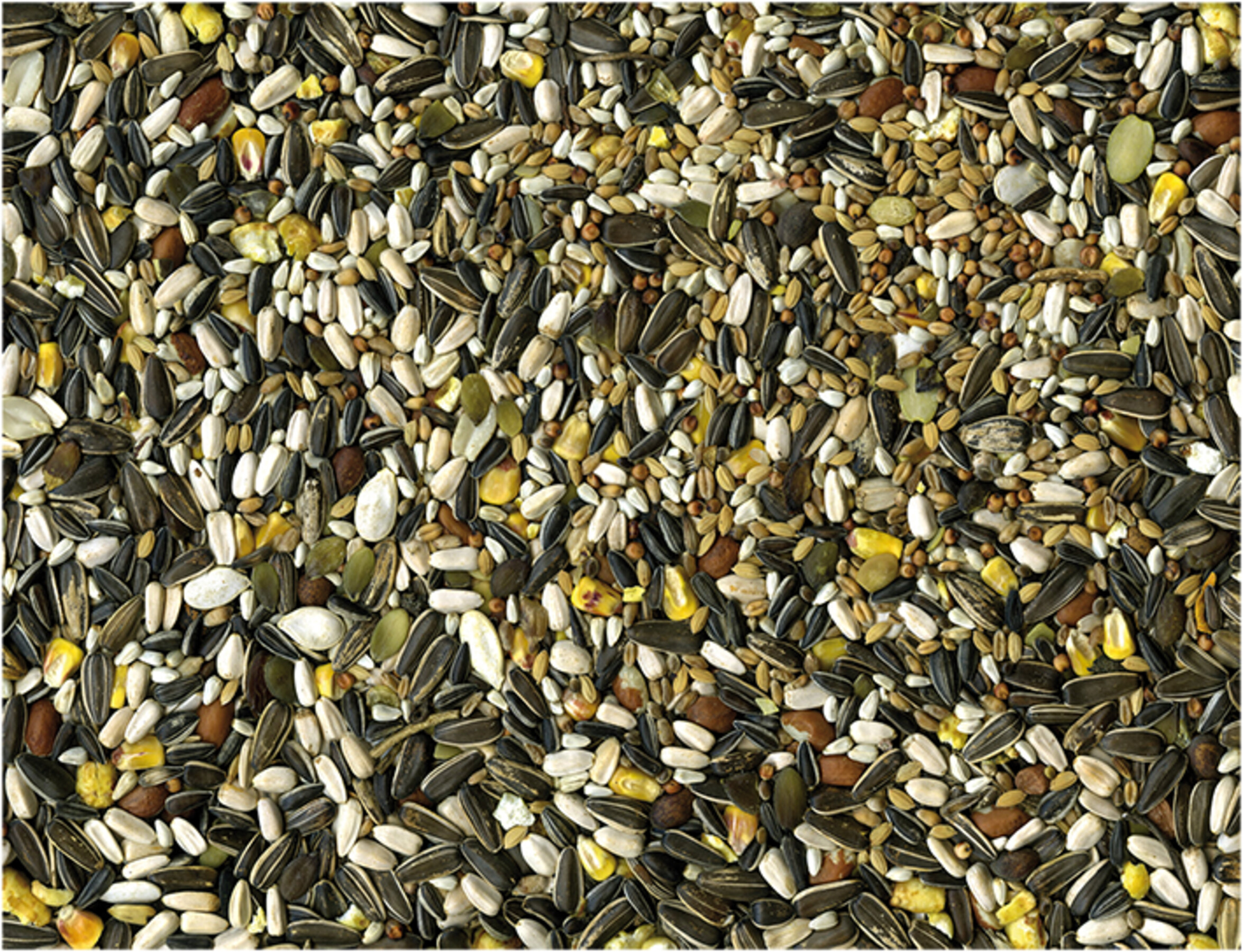 Vadigran Parrot Original Seed Mix (14 kg)