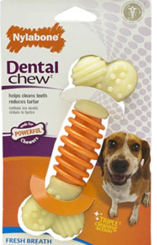 Nylabone Dental Pro Action Chew - Bacon (Medium)