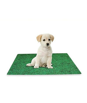 Dry Mate Washable Potty Pads Green Fresh Grass 24 X 29 Inches