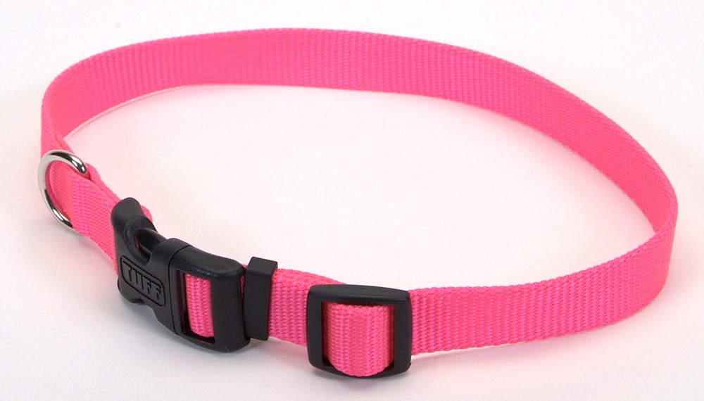 Coastal 5 and Tuff Dog Collar Small Medium Neon Pink