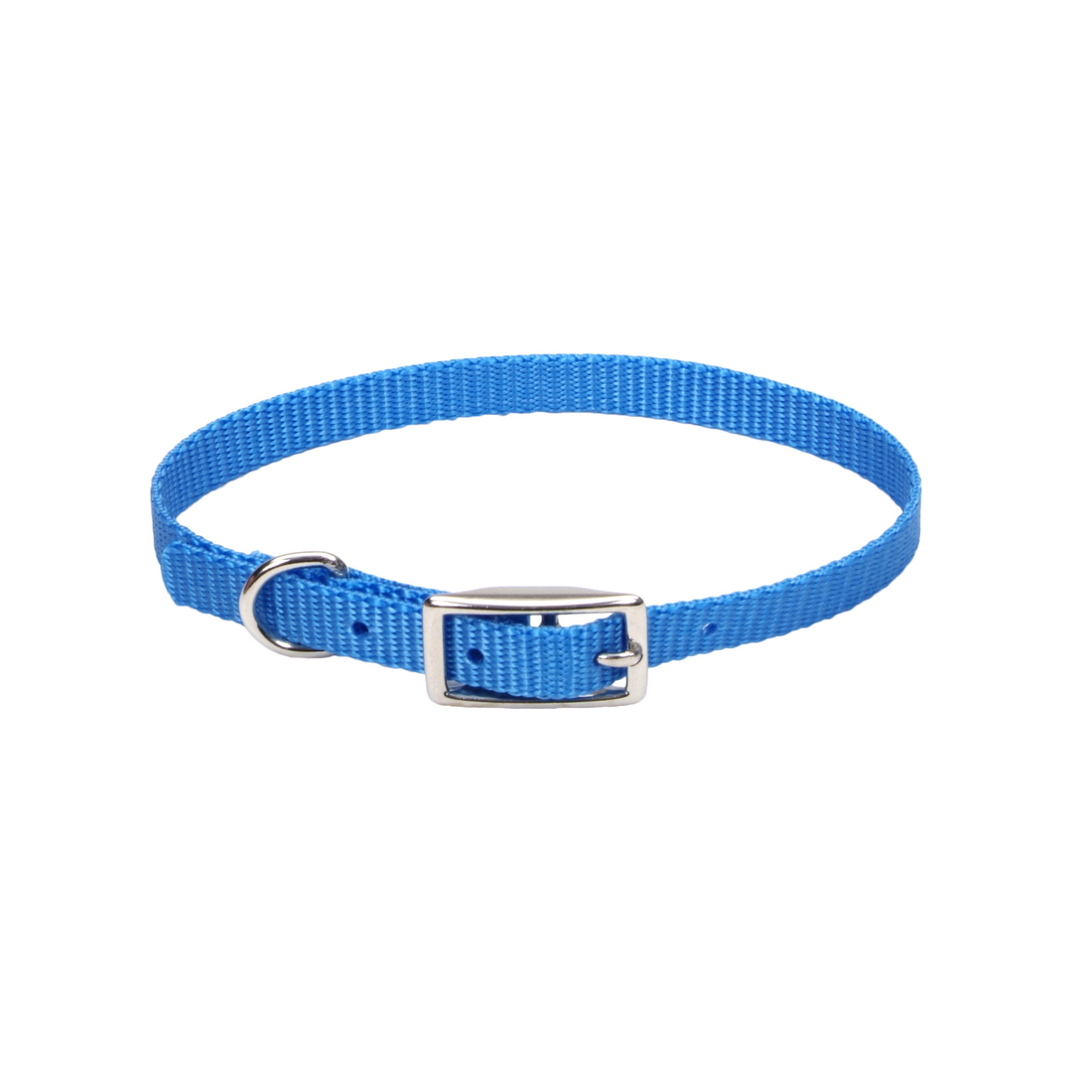 Coastal 3 and Safety Cat Collar Blue