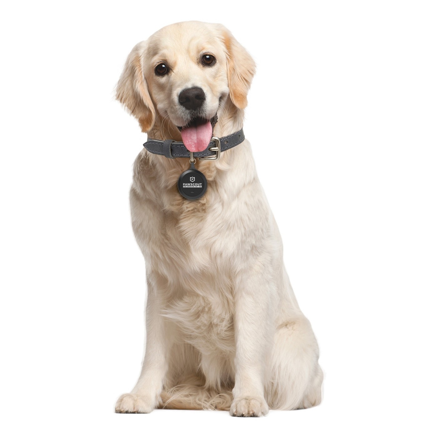 PAWSCOUT "THE SMARTER PET TAG"
