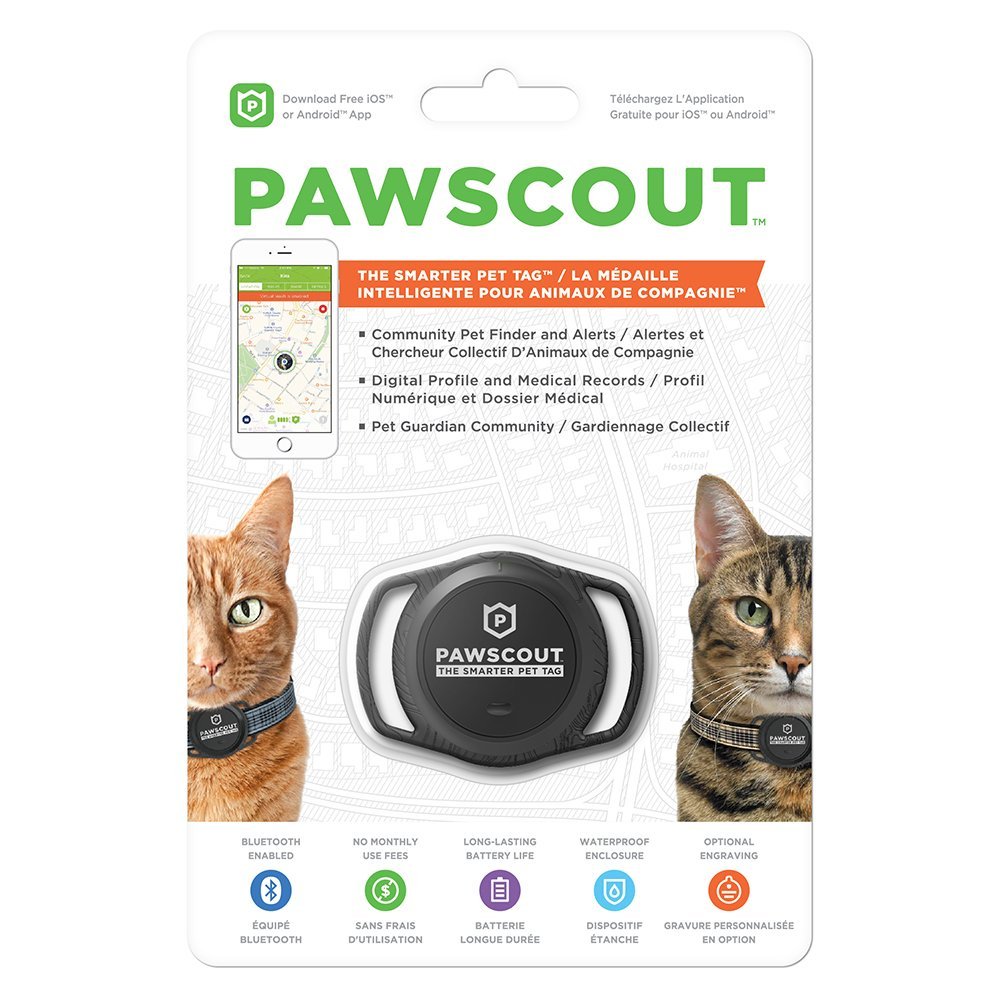 Pawscout The Smarter Pet Tag for Cat
