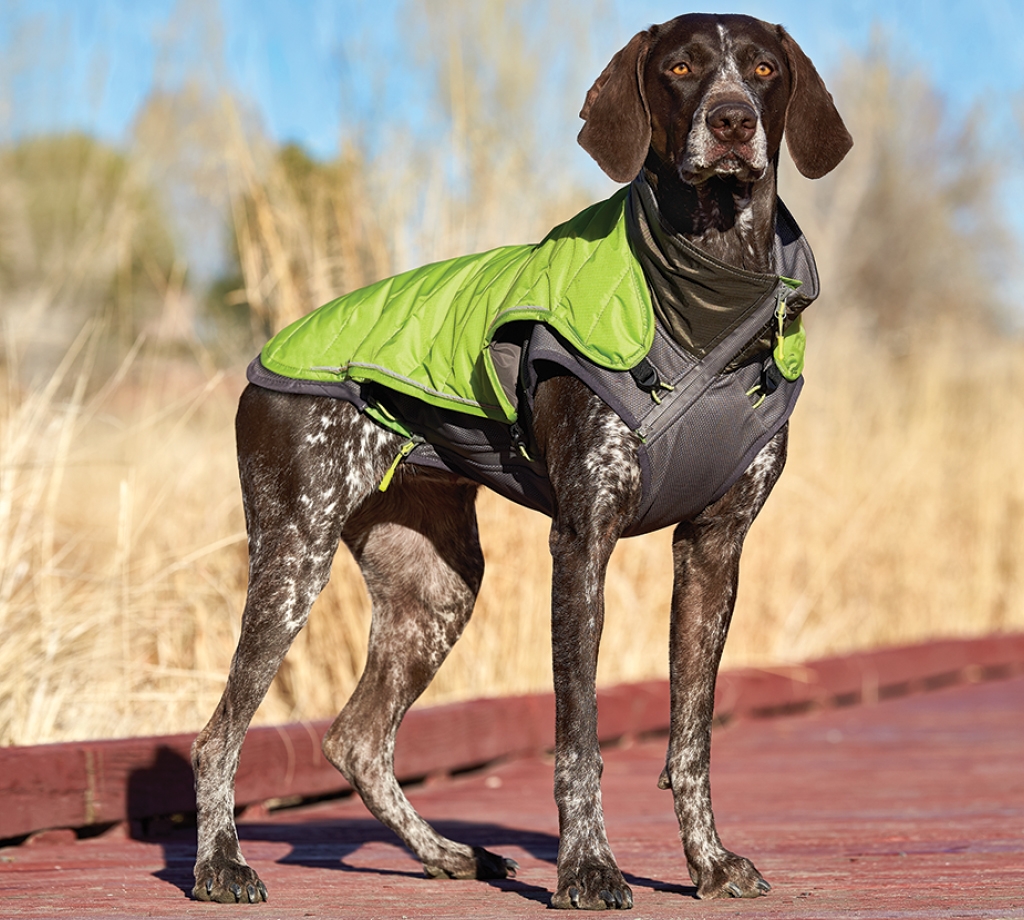 Pet Stages Telluride 2-In-1 Coat Green Xs