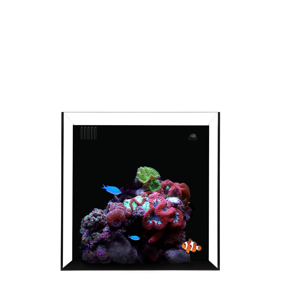 Waterbox Cube NANO 7- L 30CM X W 30CM X W 30CM-BLACK