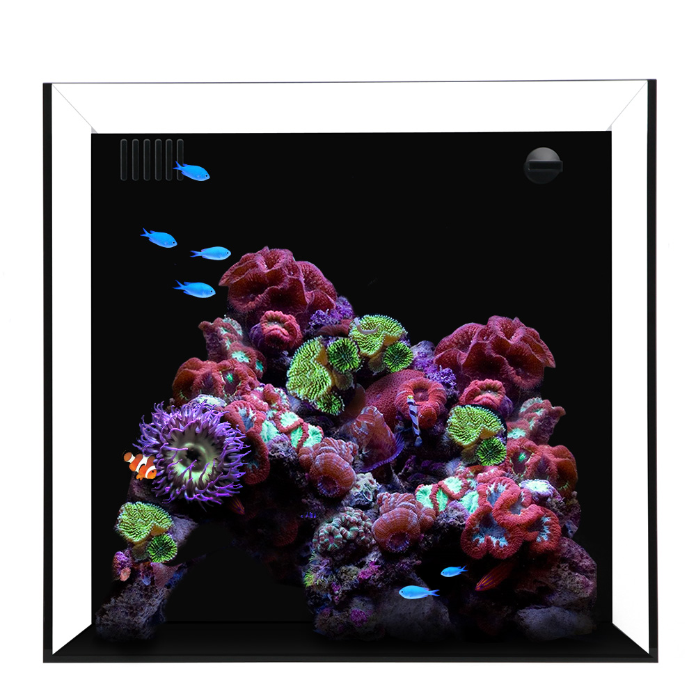 Waterbox CUBE 15- L 40CM X W 40CM X W 40CM-BLACK