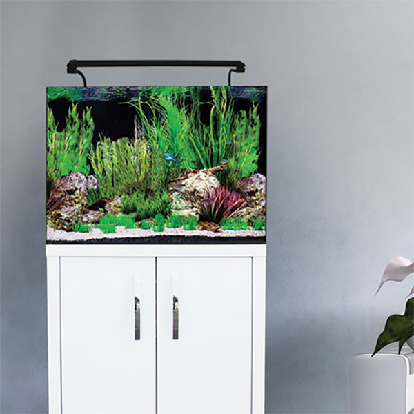 Aqua One 60 AquaNano 100L Complete Tropical Glass Aquarium Set 60cm (NO CABINET)