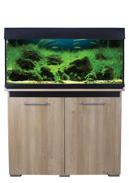 Aqua AquaOne Vogue Only Cabinet 170 100cm Nash Oak With Black NEW STYLE