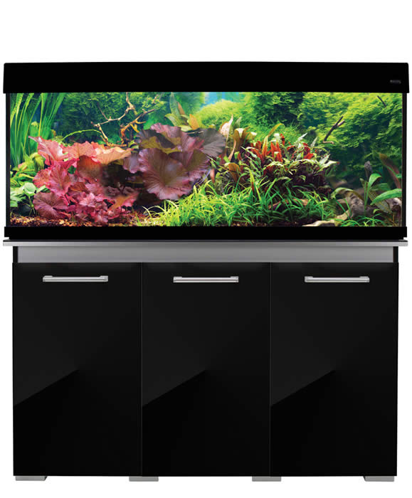 Aqua One AquaVogue Cabinet 245 120wx45dx55cm Black Gloss With Grey NEW STYLE) CABINET ONLY