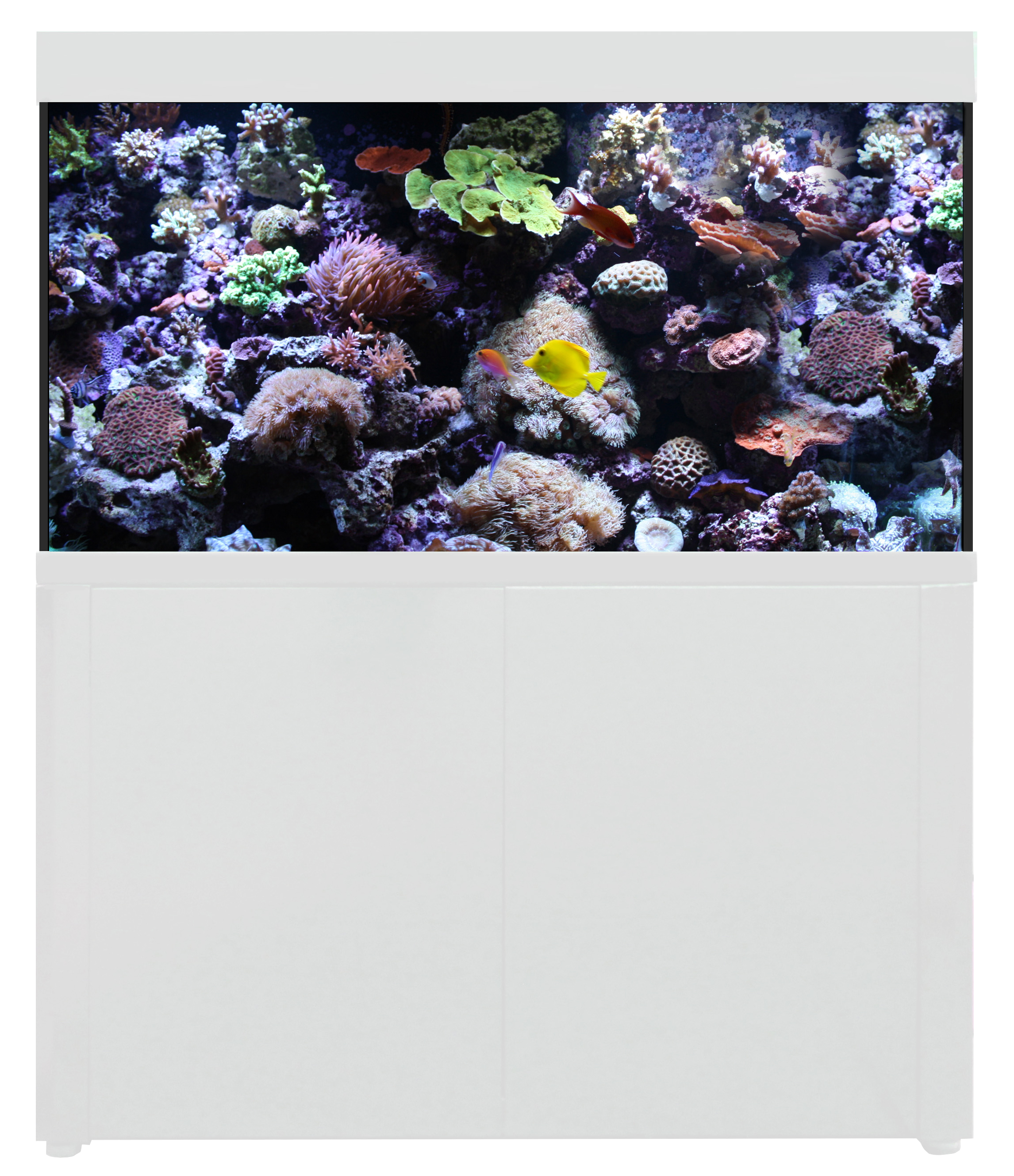 Aqua One AquaReef 400 Marine Set (series 2) 128x50x70cm H (white) CABINET ONLY