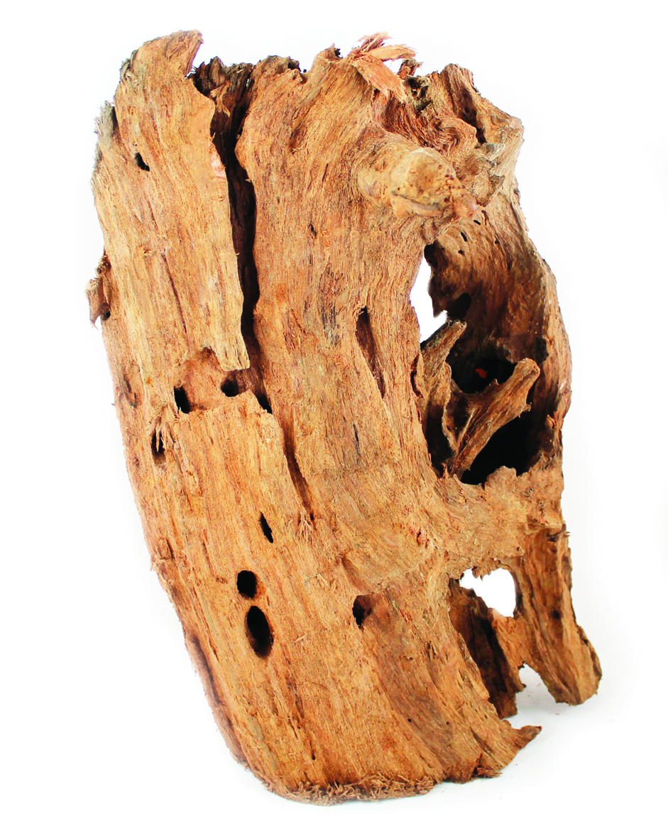 Aqua One Mangrove Root Large (40-60cm) Real Wood