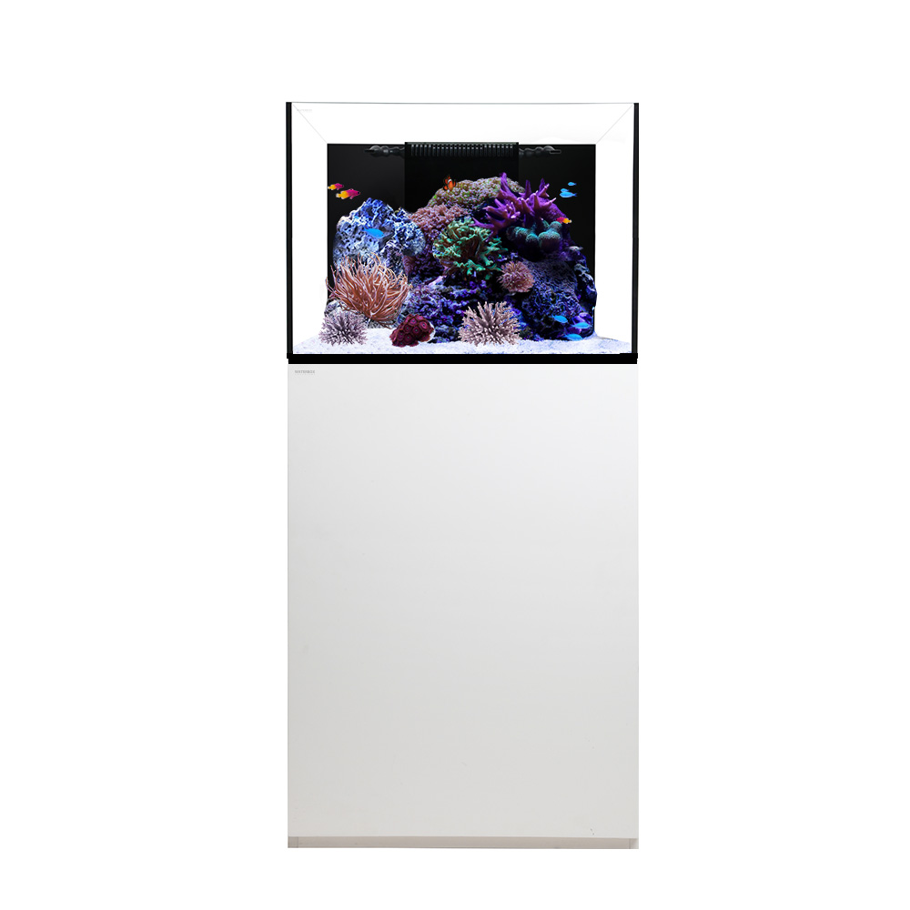 Waterbox Platinum REEF 70.2+ Cabinet- L 60CM X W 60CM X W 55CM-WHITE