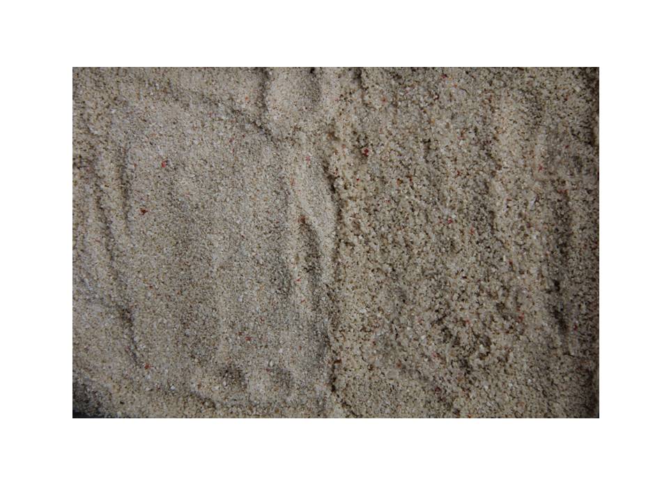Nutrapet Marine Coral Sand- Fine 10 Kgs