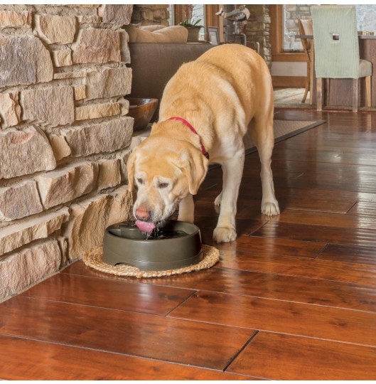 Drinkwell® Current Pet Fountain- Large-UK Adaptor