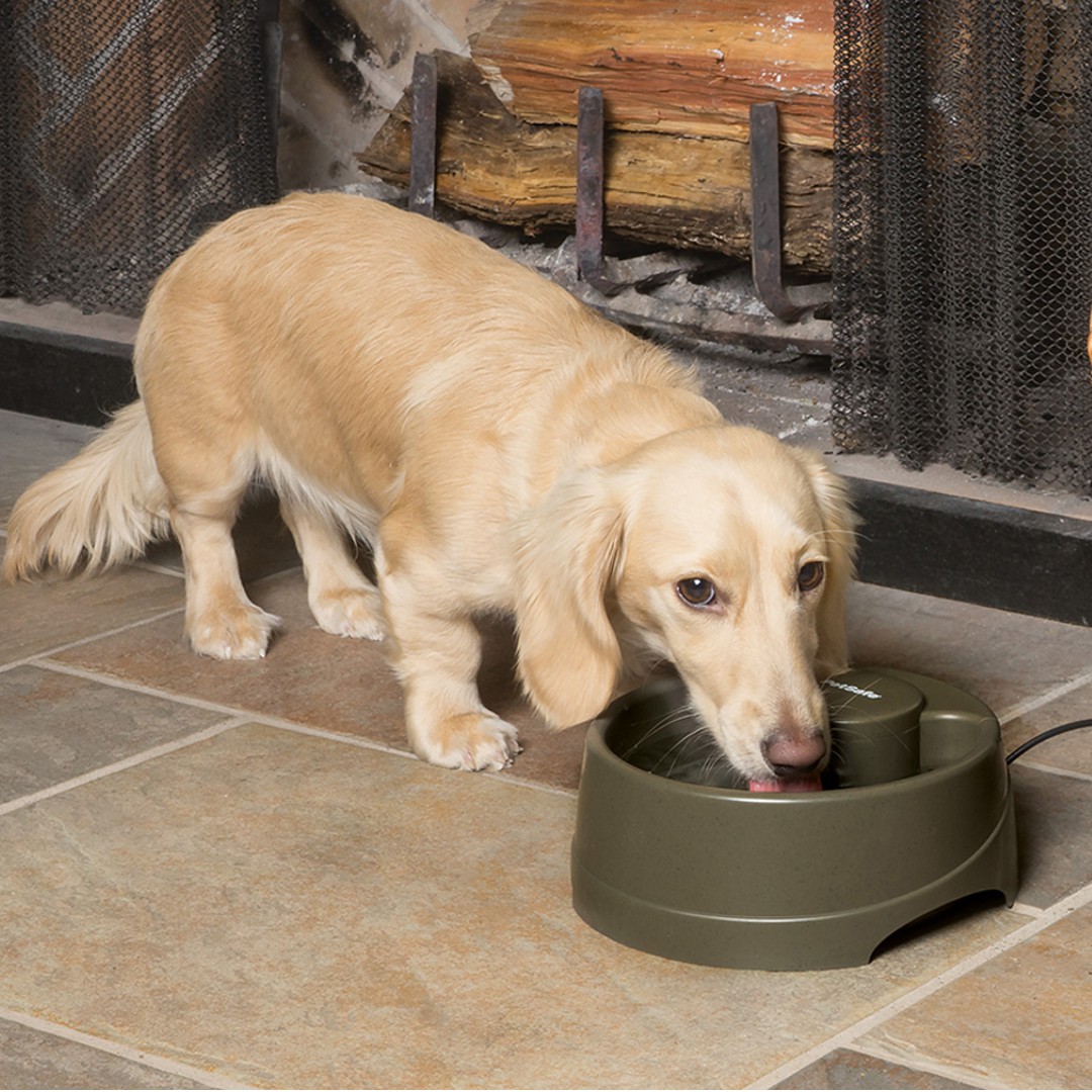 Drinkwell® Current Pet Fountain- Small- UK Adaptor -BOX of 4 Save 10%