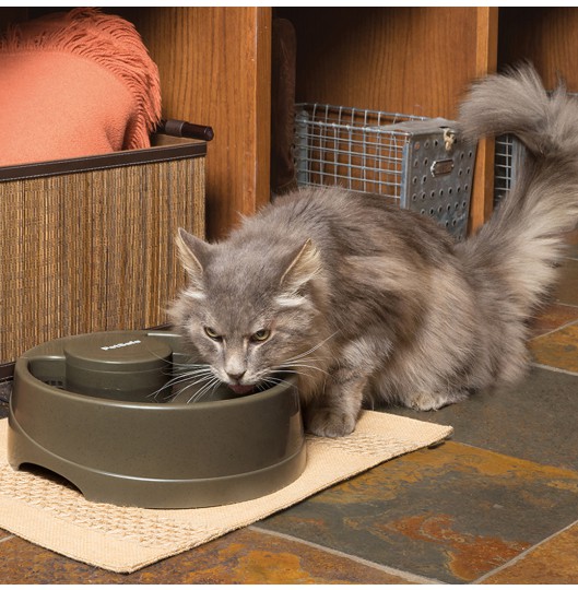 Drinkwell® Current Pet Fountain- Small- UK Adaptor -BOX of 4 Save 10%