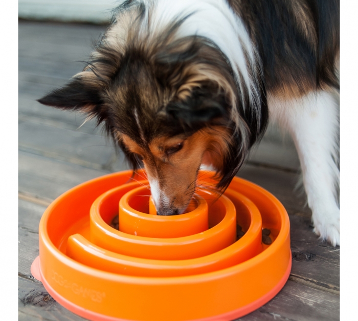 Outward Hound Fun Feeder Swirl Org LG