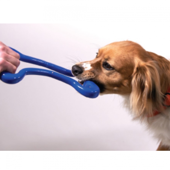 Planet Dog Tug Bone Blu