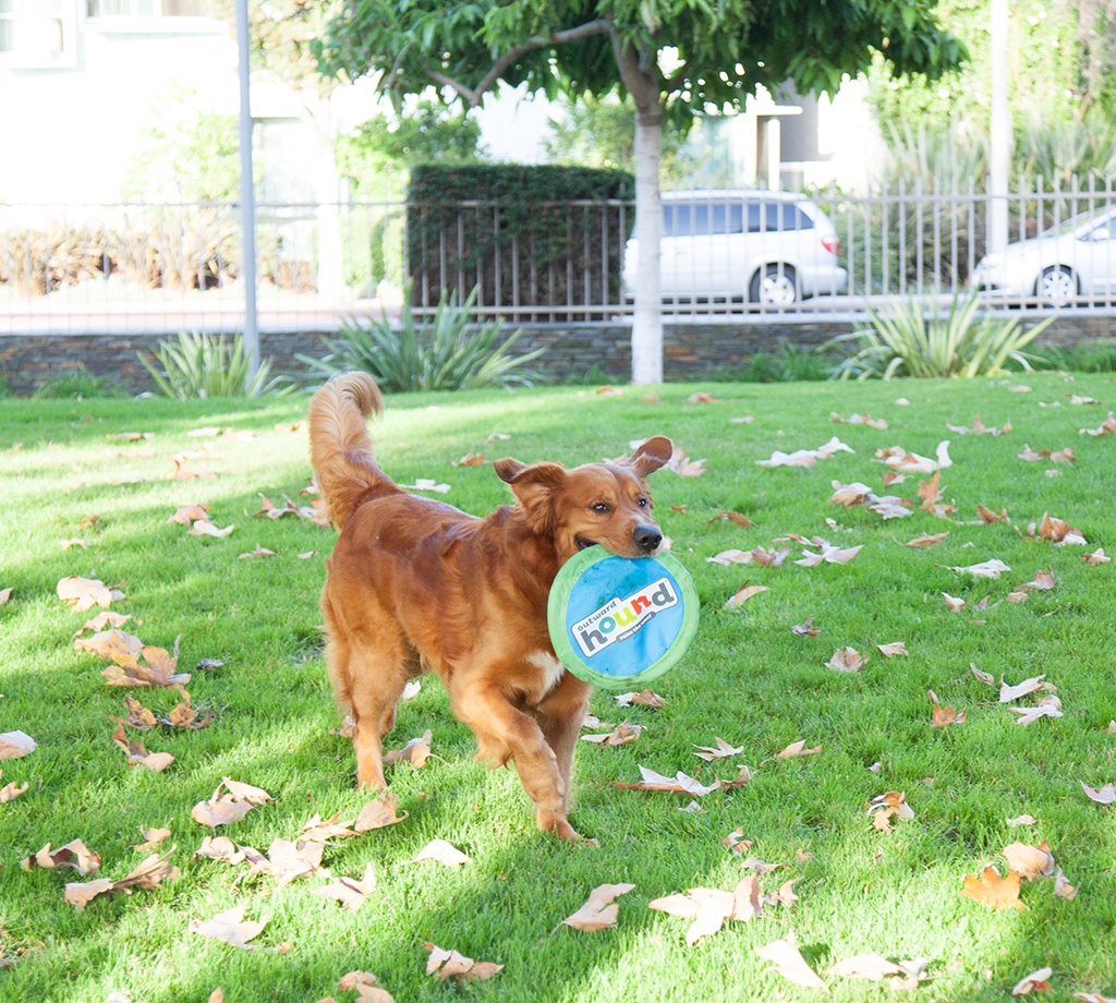 Outward Hound Soft Fetch Flyer Blu LG