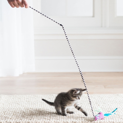 Petmate Fat Cat Catfisher Teasers – Worm Wand