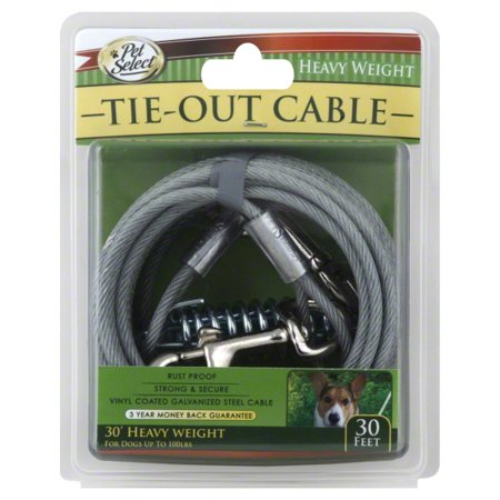 Four Paws Vinyl Coated Steel Cable Dog Tie Out - Heavy Weight 30 ft.