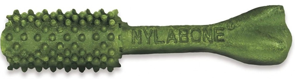 Nylabone Nutri Dent Fresh Breath Single Small