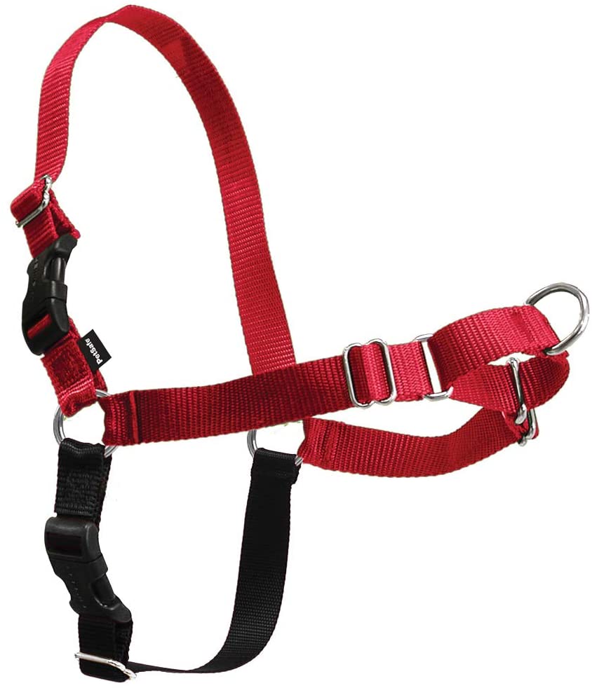 PETSAFE EASY WALK HARNESS LARGE RED ROHS