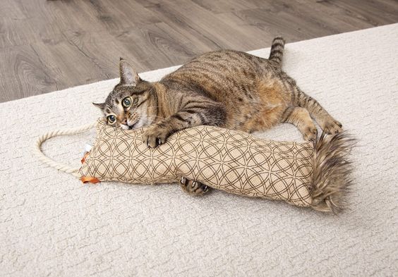 Petlinks® Claw Kicker™ Hanging Scratch Pillow and Cat Toy