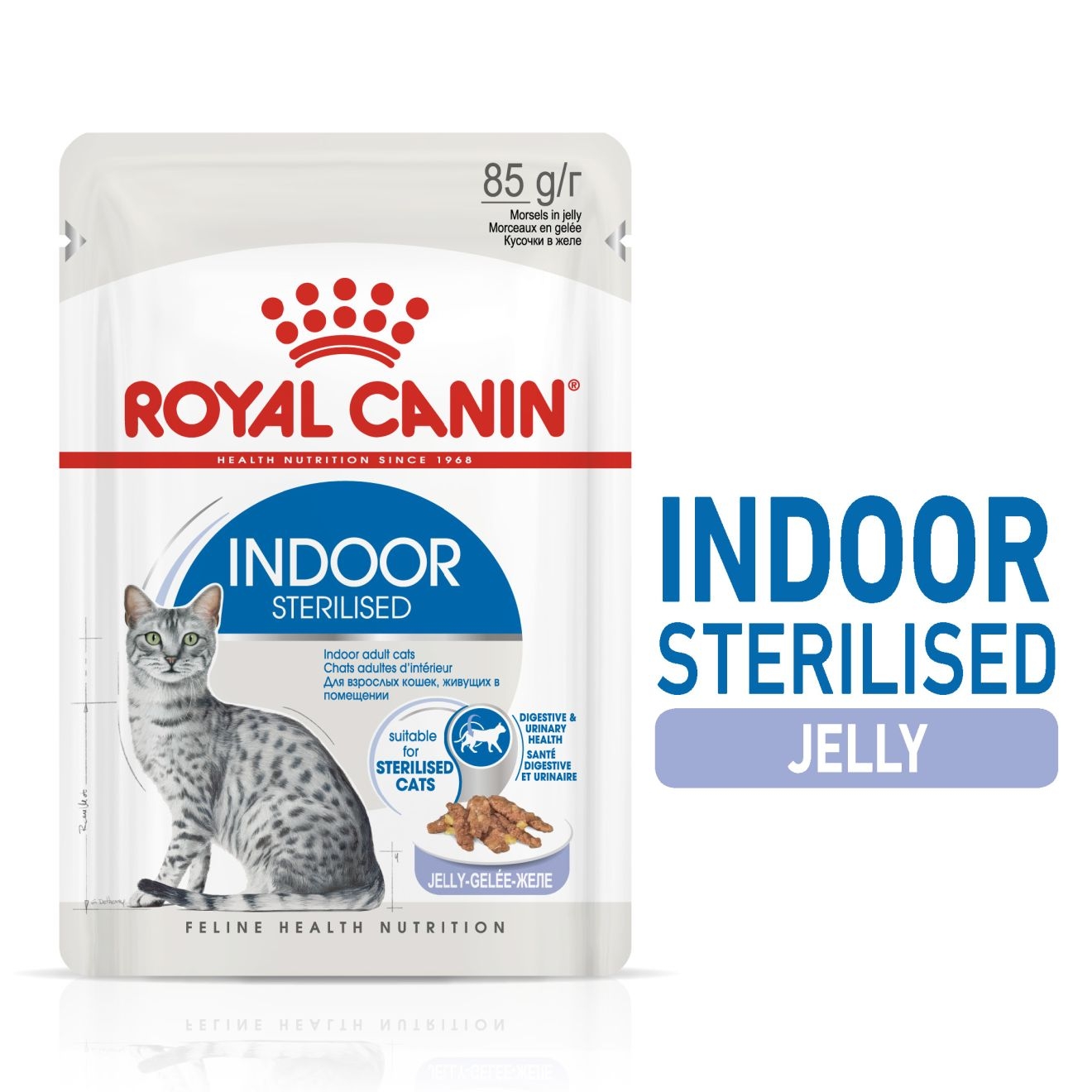 Royal Canin Feline Health Nutrition Indoor Jelly 85G (Wet Food )