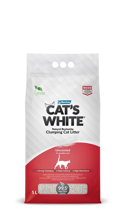 Cats White 5L Natural