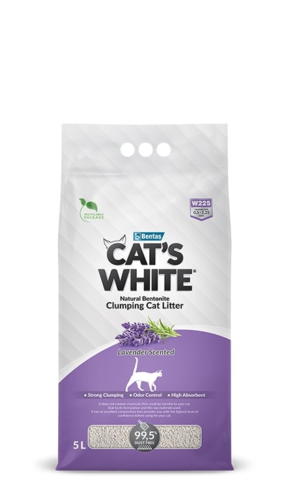 Cats White 5L Lavender