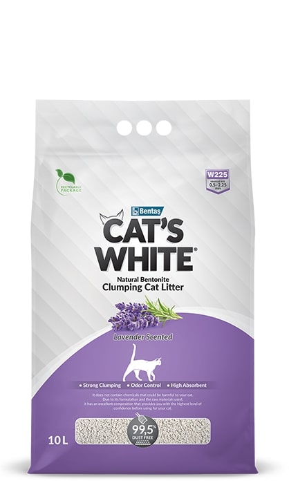 Cats White 10L Lavender