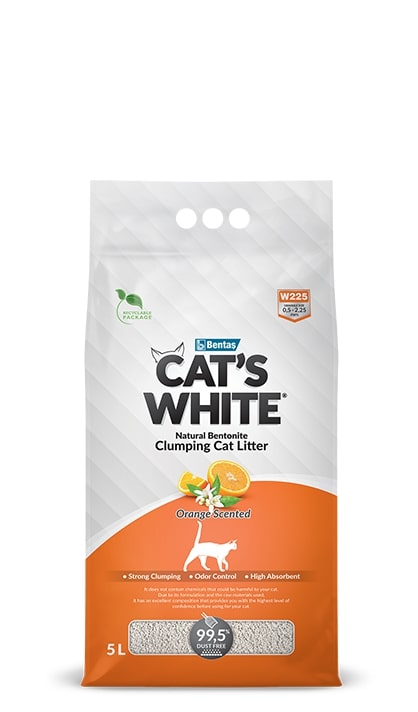 Cats White 5L Orange
