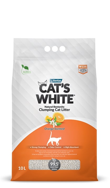 Cats White 10L Orange