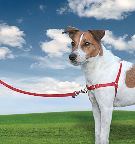 PET SAFE EASY WALK HARNESS SMALL RED ROHS